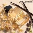 ysl women's fragrance