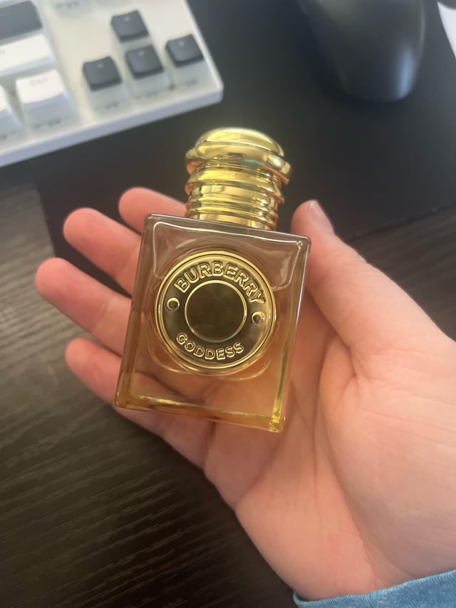 burberry gold perfume