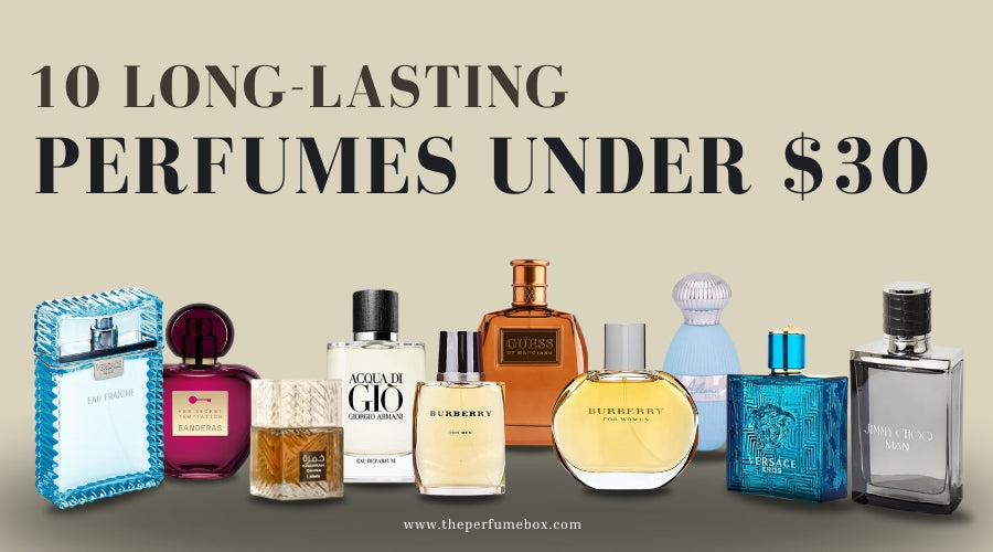 top 10 long lasting perfumes for men