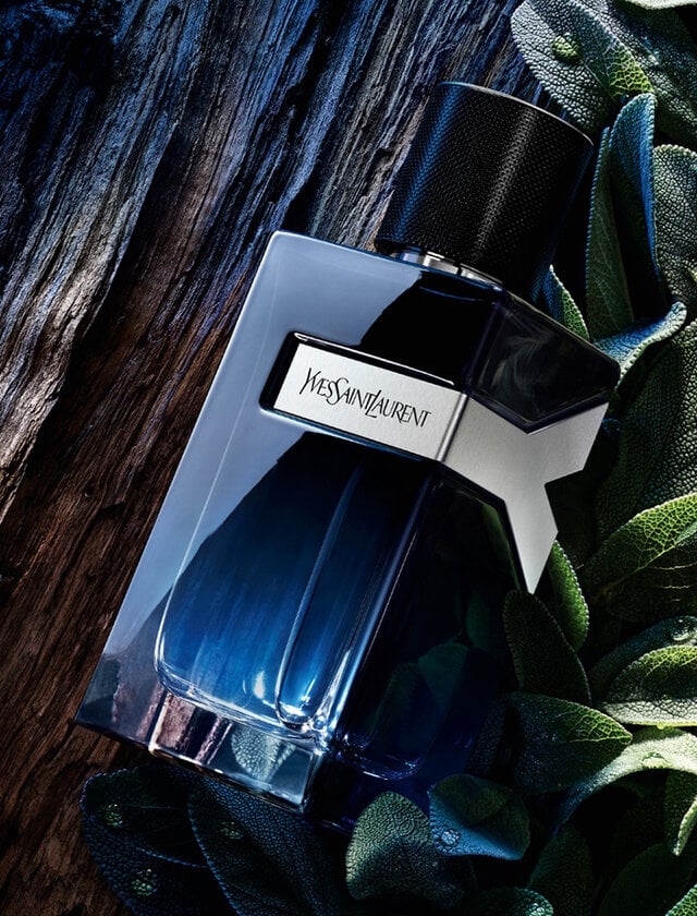 most expensive ysl cologne