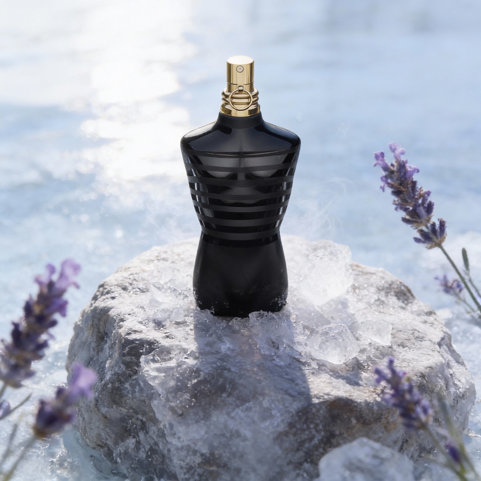 le male le parfum